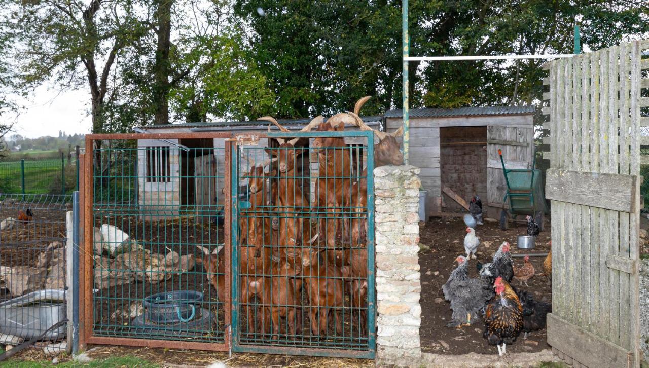 La Ferme Des Nonains Lägenhet Montjavoult Exteriör bild